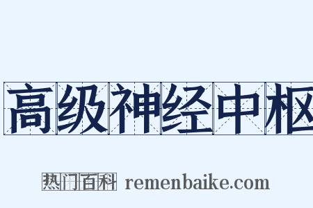 高级神经中枢是什么意思的图片